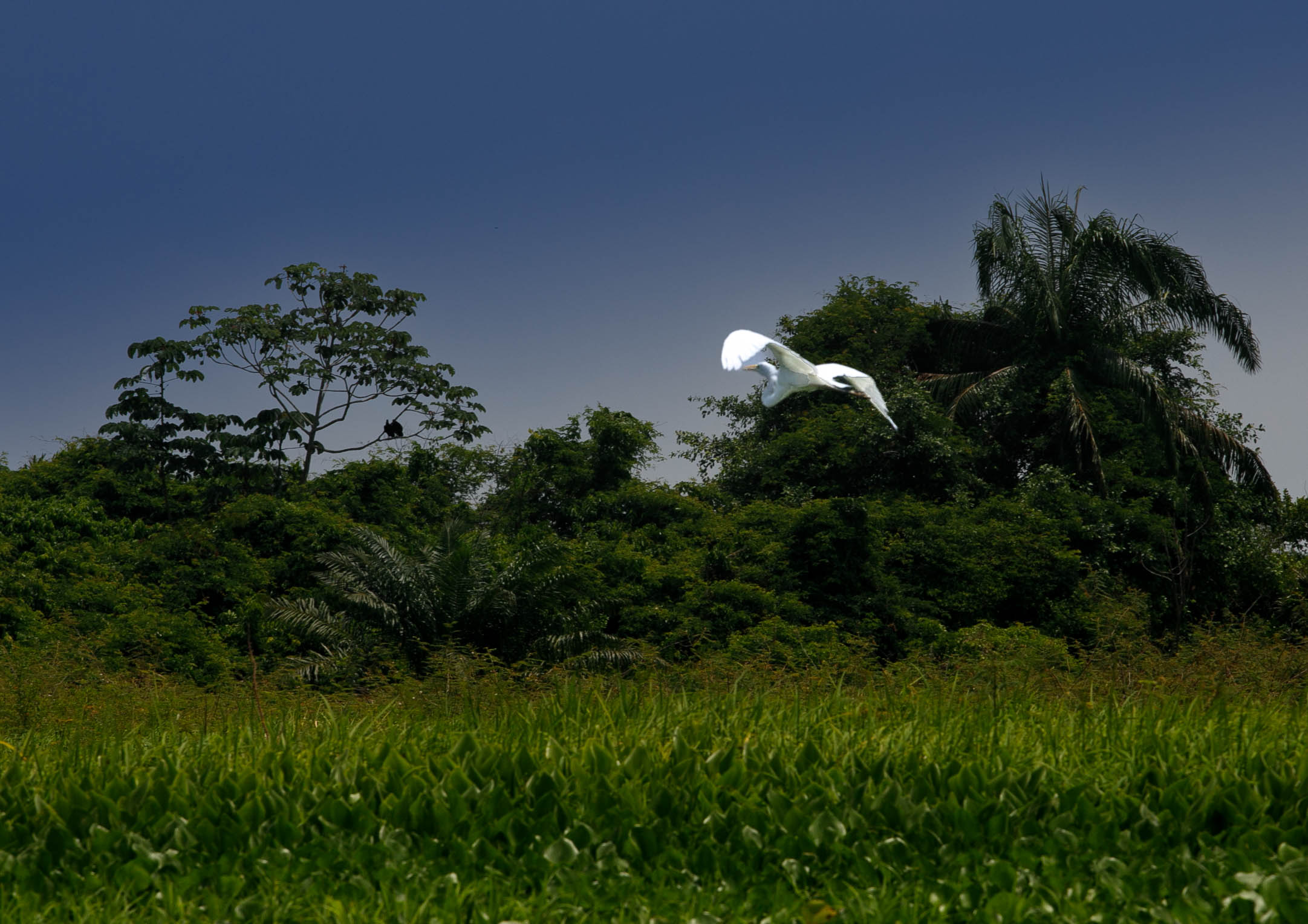 Sobrevuelo Garza
